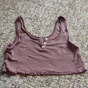 American Eagle Outfitters Burgundy Striped Crop Top